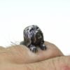 Havanese Dog Ring