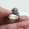 Havanese Dog Ring