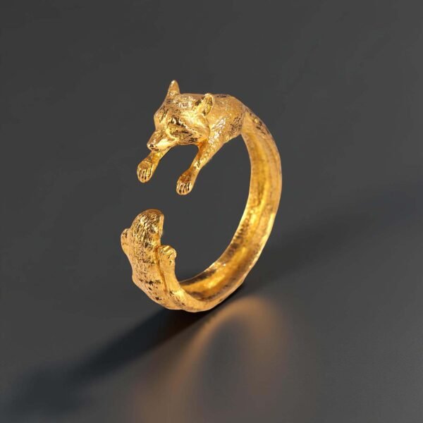 Raccoon ring
