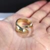 Gold Whale Ring
