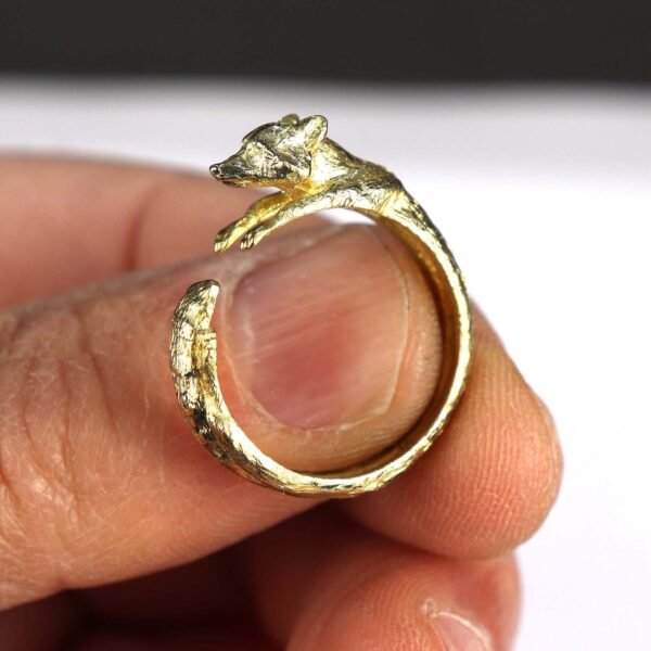 Raccoon ring
